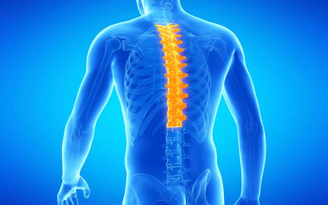 Middle and Upper (Thoracic) Back Pain