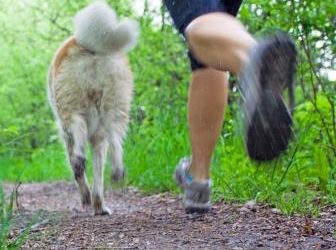 Considerations when Running with Your Pup